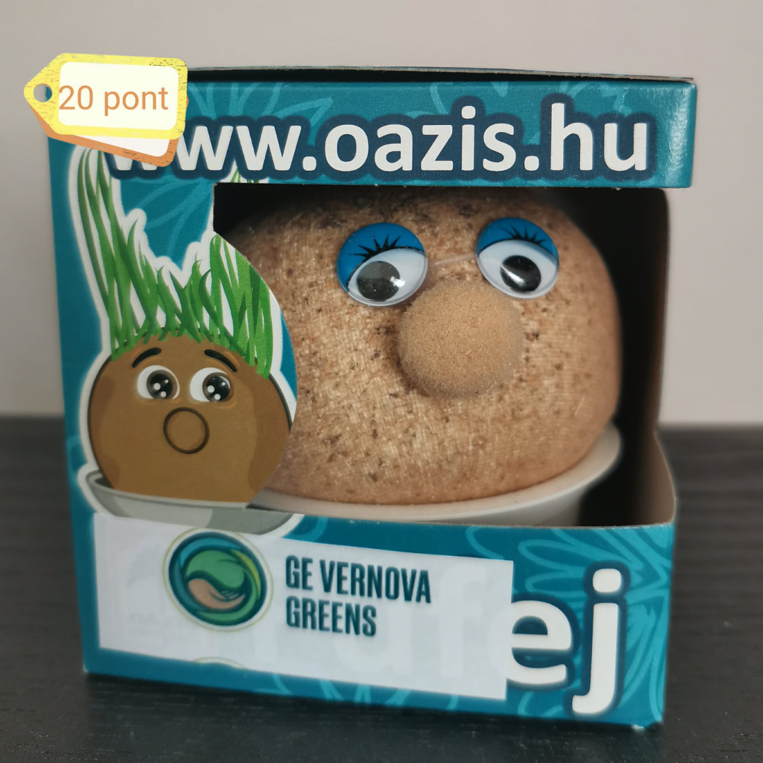 Gyalogbusz posztok (24)